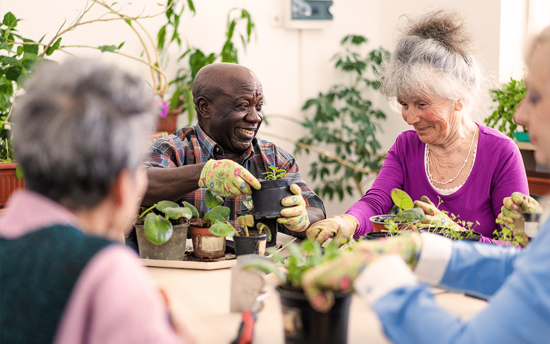 Photo of a group of seniors potting plants. Photo d'un groupe d'aînés rempotant des plantes.